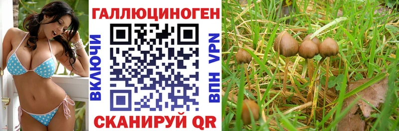 Галлюциногенные грибы мицелий  Видное 