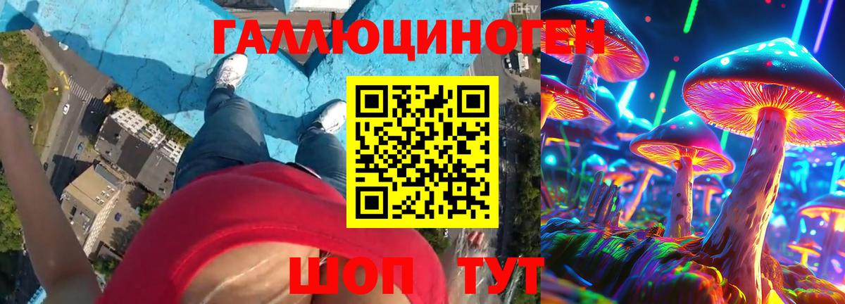 Псилоцибиновые грибы мицелий  закладки  Видное  Псилоцибиновые грибы Psilocybe 